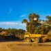 Adamus Assets Not for Sale – Government Clarifies After Mining Lease Revocation