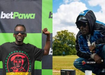 African Celebrities’ Expanding Wealth Investments