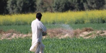 Asutifi North Assembly Distributes Fertilizer to Farmers, Boosting Agricultural Output