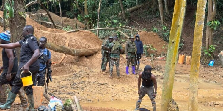 Atiwa Forest Restored Calm as NAIMOS Officials Neutralize Illegal Mining Clash, Destroy Structures and Equipment