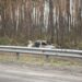Authorities Launch Intensive Efforts to Resolve Offankor Barrier Accident Scene