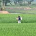 Bangladesh-India Stalemate: A Delicate Balance Amidst Growing Tensions