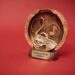 Brooklyn Street Recognition Honors the Legacy of the Fat Boys