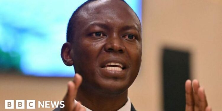 Chad’s Succès Masra: Former Prime Minister Given State Pardon