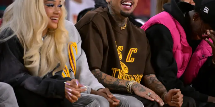 Chris Brown’s Toronto Show Sparks Intense Controversy: A Viral Moment Sparks Debate