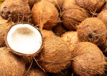 Coconut Seller Fined GH¢360 for Dumping Husks into Drain at Bubuashie