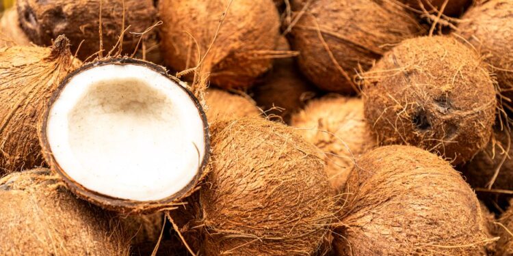 Coconut Seller Fined GH¢360 for Dumping Husks into Drain at Bubuashie