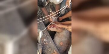 Colombia Earthquake Rescue: A Whisper from the Rubble Leads to Baby’s Rescue