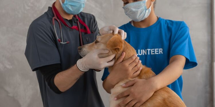 Dogs: Expanding Roles – Expert Urges Public to Prioritize Responsible Care