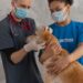 Dogs: Expanding Roles – Expert Urges Public to Prioritize Responsible Care