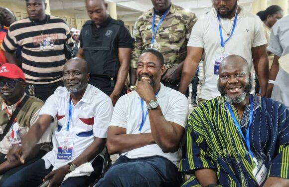Dr. Bernard Okoe Boye Claims NPP Greater Accra Regional Leadership, Ousts Alfred Boye