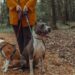 Drake’s Viral Barking Sparks Online Frenzy: Goth Girl Leads Investigation into Leash Photos
