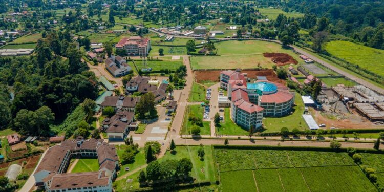 Education Remains a Priority – MP Urges Continued Investment in Tertiary Students