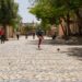 Fighting Breaks Out in Western Tigray as Ethiopia and TPLF Trade Blame