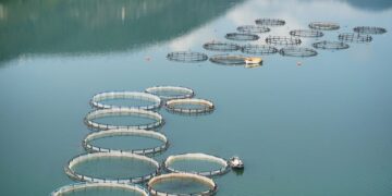 Galamsey Threatens Fish Farming in Ghana – Fisheries Commission Warns