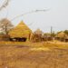 Ghana Advises Tijjaniya Pilgrims on Road Travel to Senegal, Heightens Security Concerns