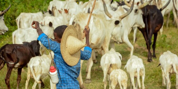 Ghana Convenes National Workshop to Strengthen Farmer-Herder Relations