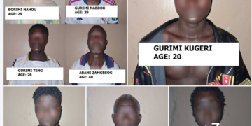 Ghanaian Authorities Launch Investigation, Arrest 14 Suspects in Narcotics Cultivation and Distribution Network