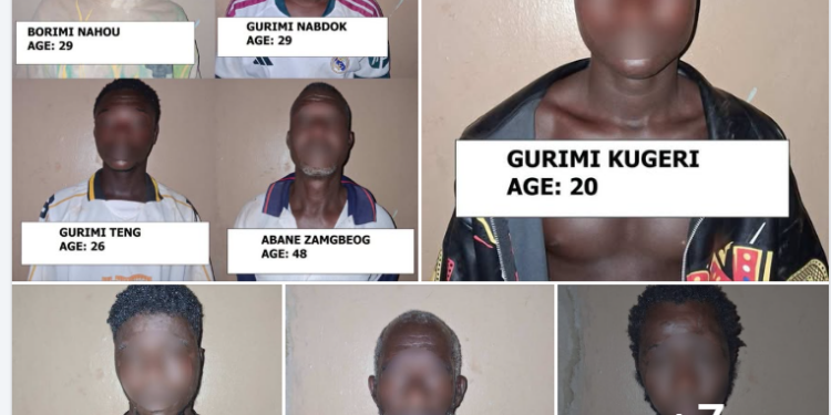 Ghanaian Authorities Launch Investigation, Arrest 14 Suspects in Narcotics Cultivation and Distribution Network