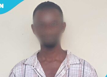 Ghanaian TikToker Arrested Over Provocative Video of Late Mion Lana