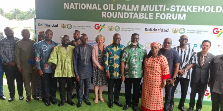 Ghana’s Oil Palm Expansion: Government Announces 100,000 Hectare Initiative to Boost Agricultural Output and Economic Growth