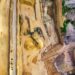 GoldBod’s Position: A Defense and Analysis of Ghana’s Gold Resource Management