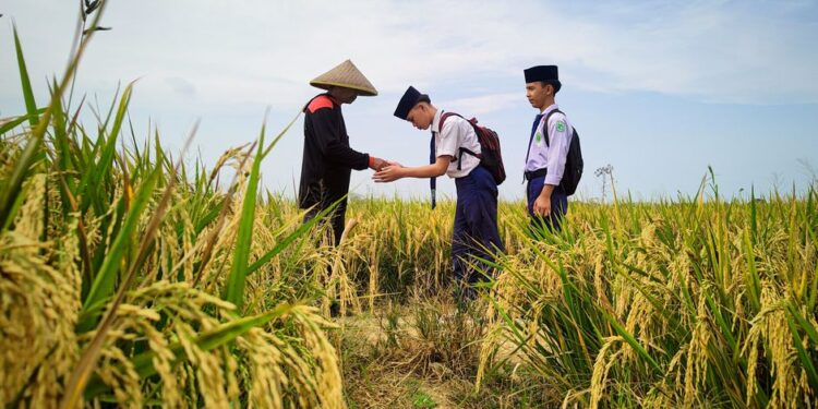 Government Launches Initiative to Fund Agricultural Education by 2026
