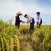 Government Launches Initiative to Fund Agricultural Education by 2026