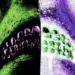 HXG’s ‘Versus’ – A Seismic Shift in the Rap Landscape