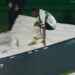 Jacy Gets ‘Carried Away’ After Injury Celebration Goes Wrong