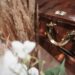 MOFFA Intensifies Prosecution of Corpse Mishandling – Focus Shifts to Dignity and Respect