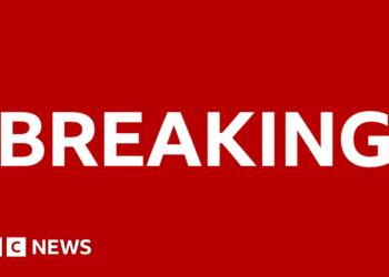 Mountaineer Nirmal Purja Killed in Pakistan Avalanche, His Company Says