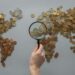 Navigating the Economic Landscape: Identifying Key Trading Partners for Isolationary Sanctions on Iran