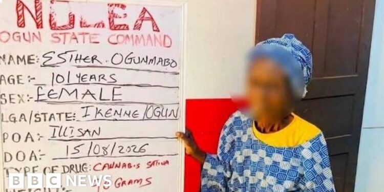 Nigeria Drug Arrests: ‘101-Year-Old Great-Grandmother’ Detained for Cannabis Sales
