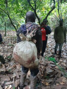 Poacher Allegedly Shot Wildlife Guard at Kakum Park Remanded