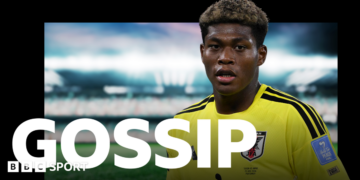 Premier League Transfer Frenzy: Suzuki, Martinez, Osimhen, Rodri, Bouaddi, Dedic, Palhinha – A Deep Dive into the Transfer Window