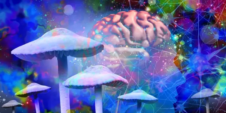 Psilocybin May Enhance Momentary Reality, Study Suggests