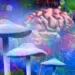 Psilocybin May Enhance Momentary Reality, Study Suggests