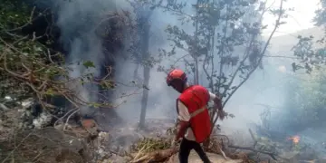 Safari Helicopter Crash Kills 7 in Kenya, Including 5 Americans