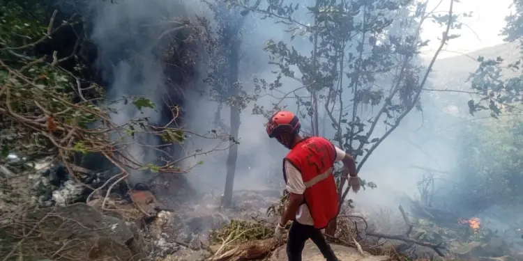 Safari Helicopter Crash Kills 7 in Kenya, Including 5 Americans