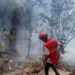 Safari Helicopter Crash Kills 7 in Kenya, Including 5 Americans