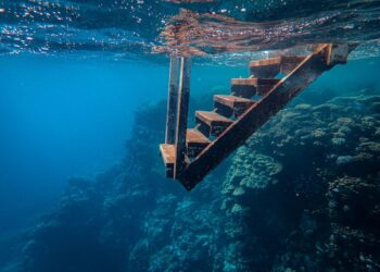 Saudi Arabia Announces Start of Red Sea Defence Alliance: Will It Work?