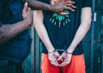 Sidney Starr Arrested on Felony Child Sex Crime Charges In Georgia