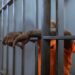 Sidney Starr Faces Life In Prison After Child Molestation Arrest