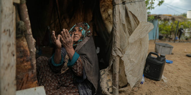 Small-Scale Projects Offer Hope for Gaza Farmers Rebuilding Lives