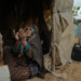 Small-Scale Projects Offer Hope for Gaza Farmers Rebuilding Lives