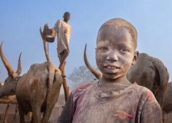 Swift Response to Escalating Cattle Raids in South Sudan