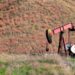 Tarkwa Residents Urge Government to Renew Gold Fields Mining Leases