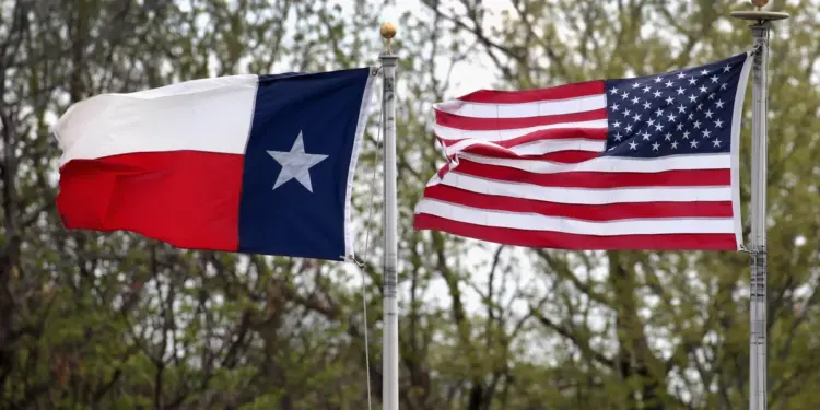 Texas Baby’s Legal Battle Escalates: Surrogate Challenges Court Order