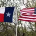 Texas Baby’s Legal Battle Escalates: Surrogate Challenges Court Order